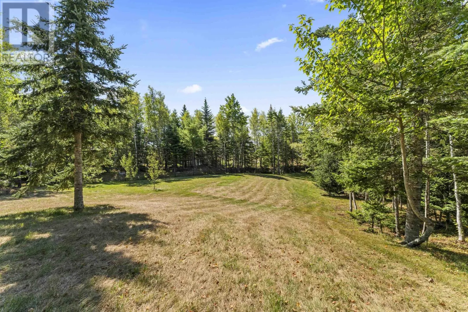246 Royal Oaks Way