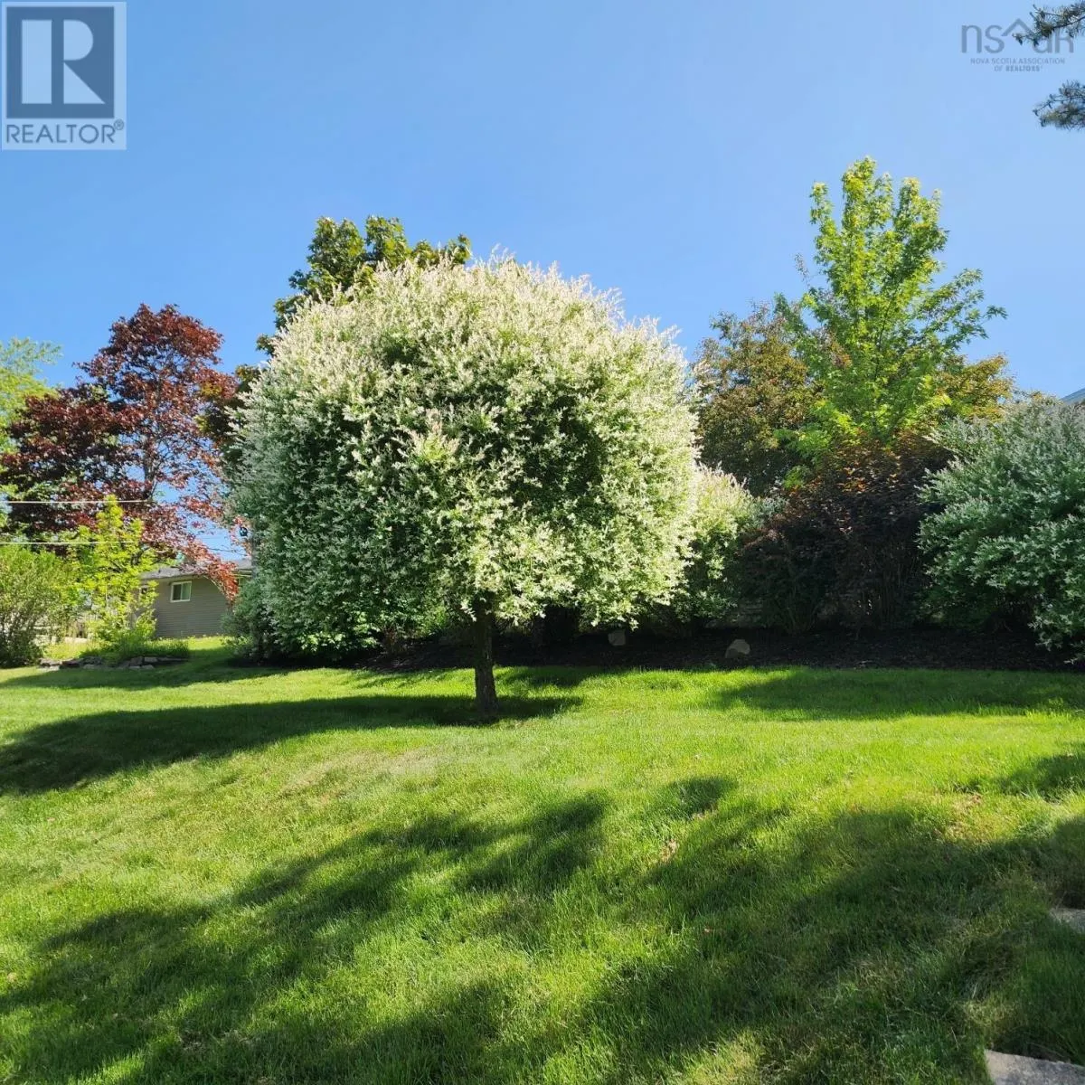 55 Oakmount Drive