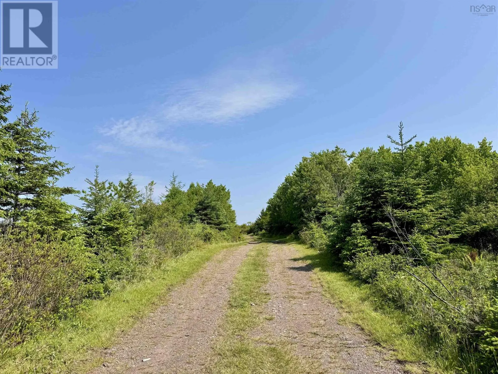 3123 Highway 320