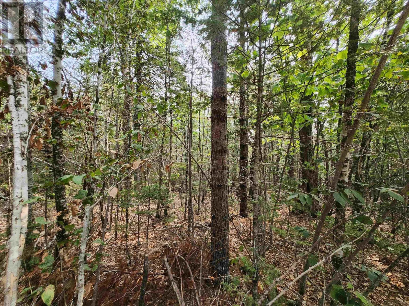 Lot 69 Turner Point Crossover