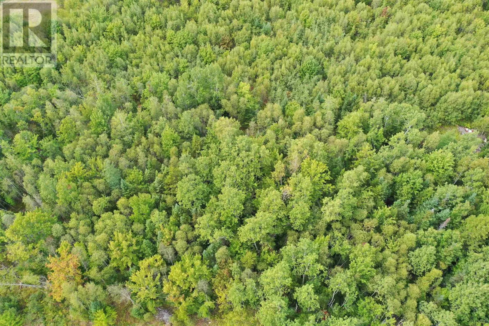 Lot 19 Acres Wallace Road
