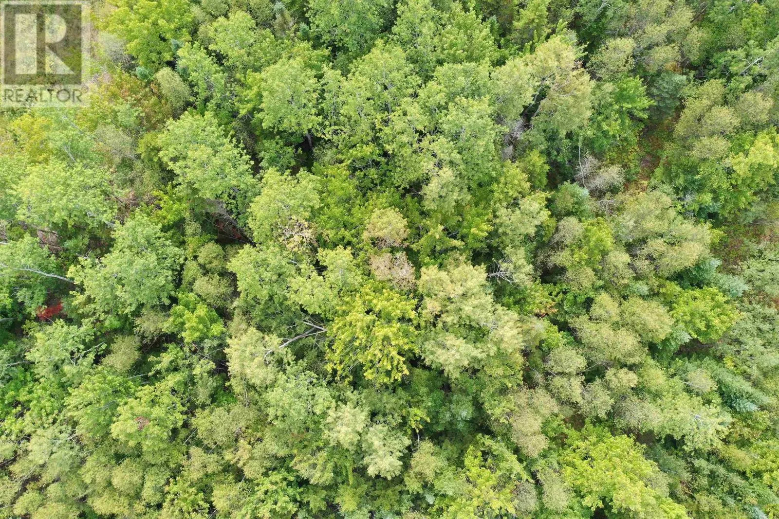 Lot 19 Acres Wallace Road