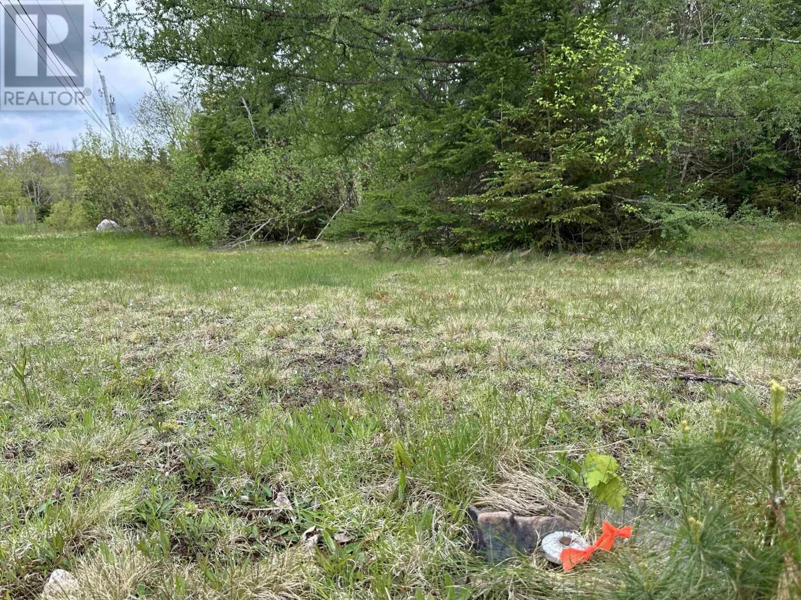Lot 19 Acres Wallace Road