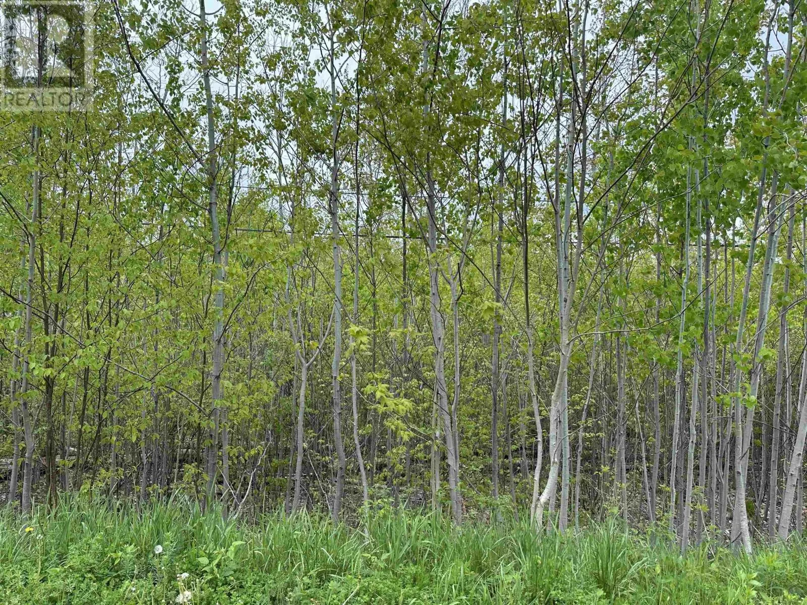 Lot 19 Acres Wallace Road