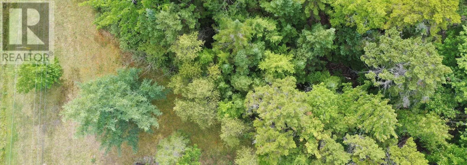Lot 19 Acres Wallace Road