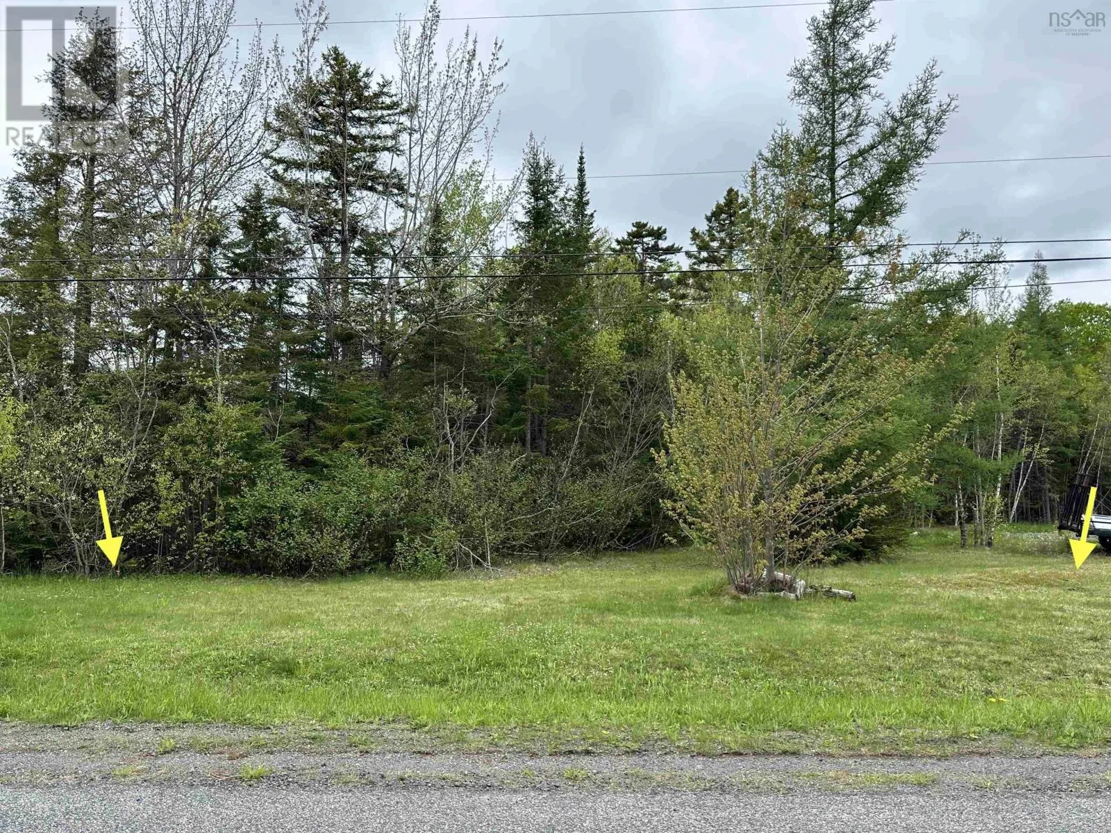 Lot 19 Acres Wallace Road