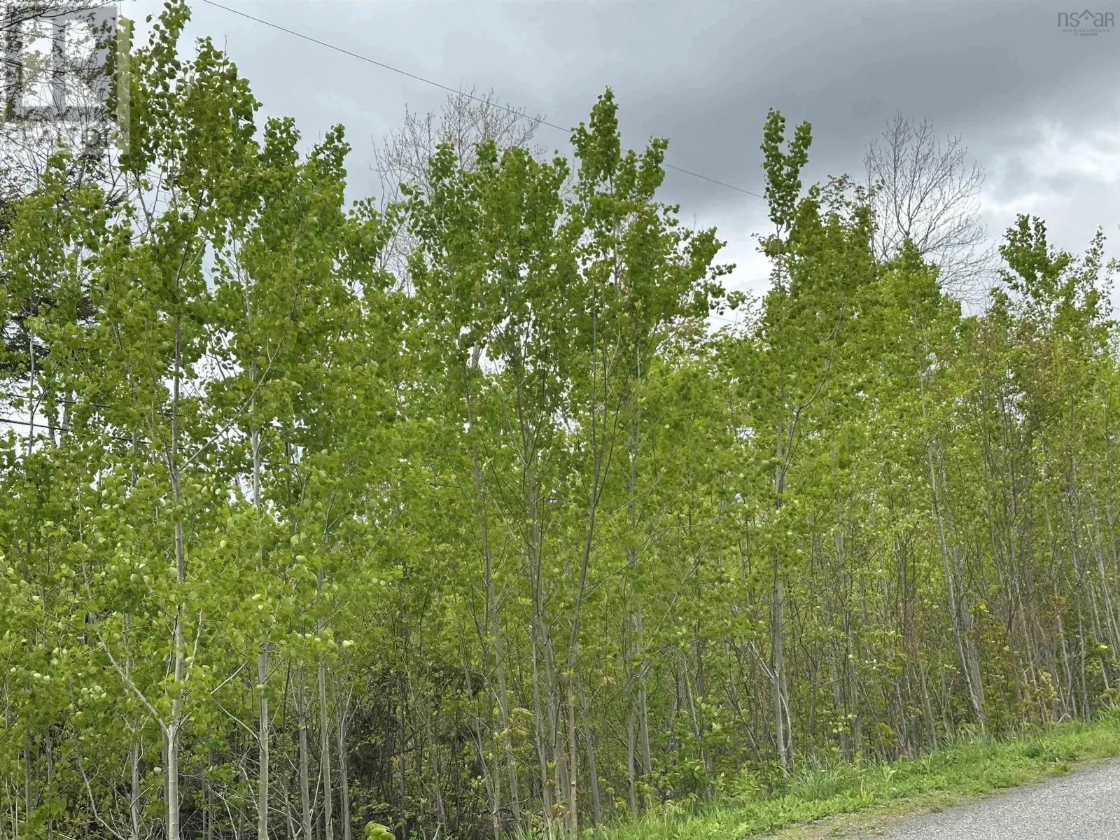 Lot 19 Acres Wallace Road