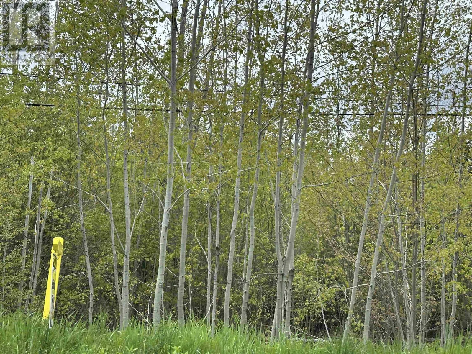 Lot 19 Acres Wallace Road