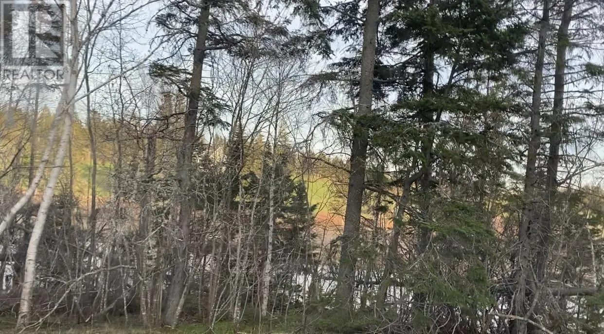 Lot Stead Road - 7.8 Waterfront