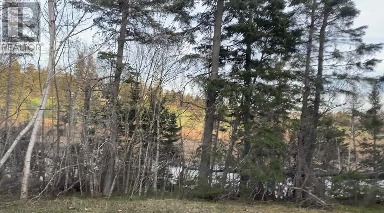 Lot Stead Road - 7.8 Waterfront