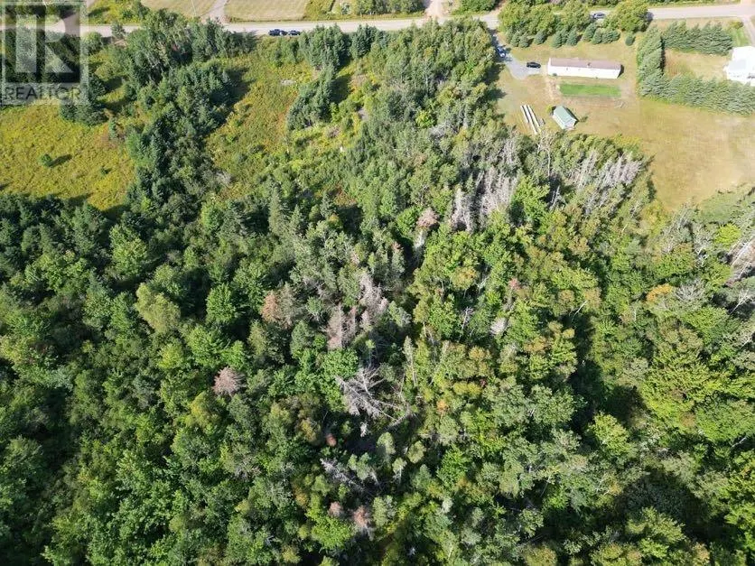 Acreage Blooming Point Road