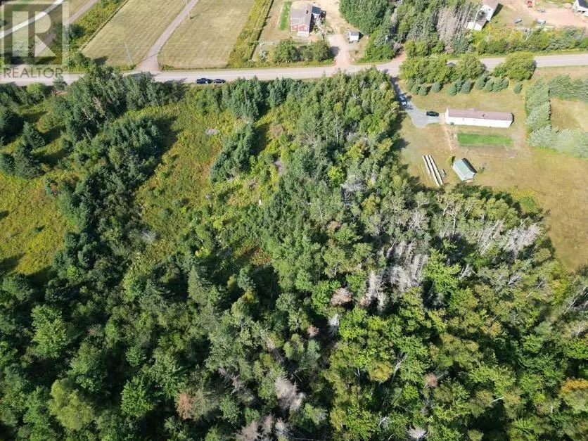 Acreage Blooming Point Road