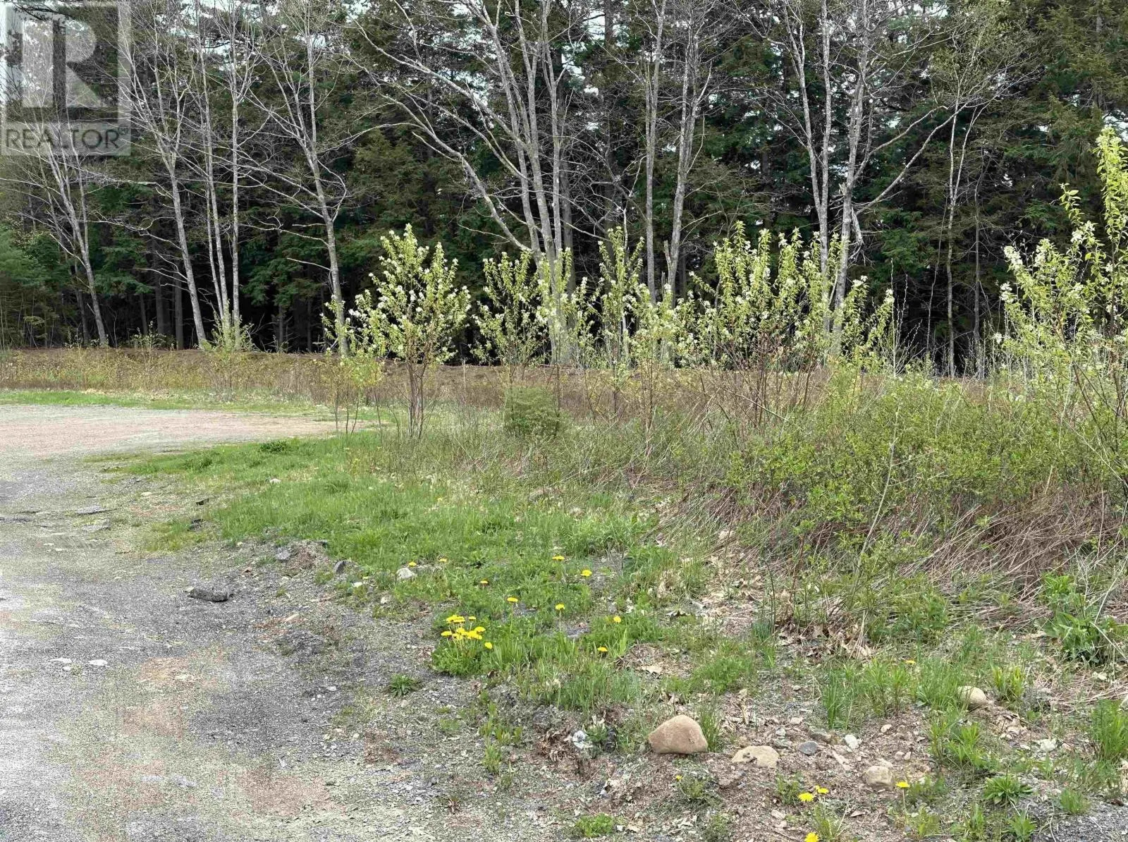 Lot 4 Kentucky Court