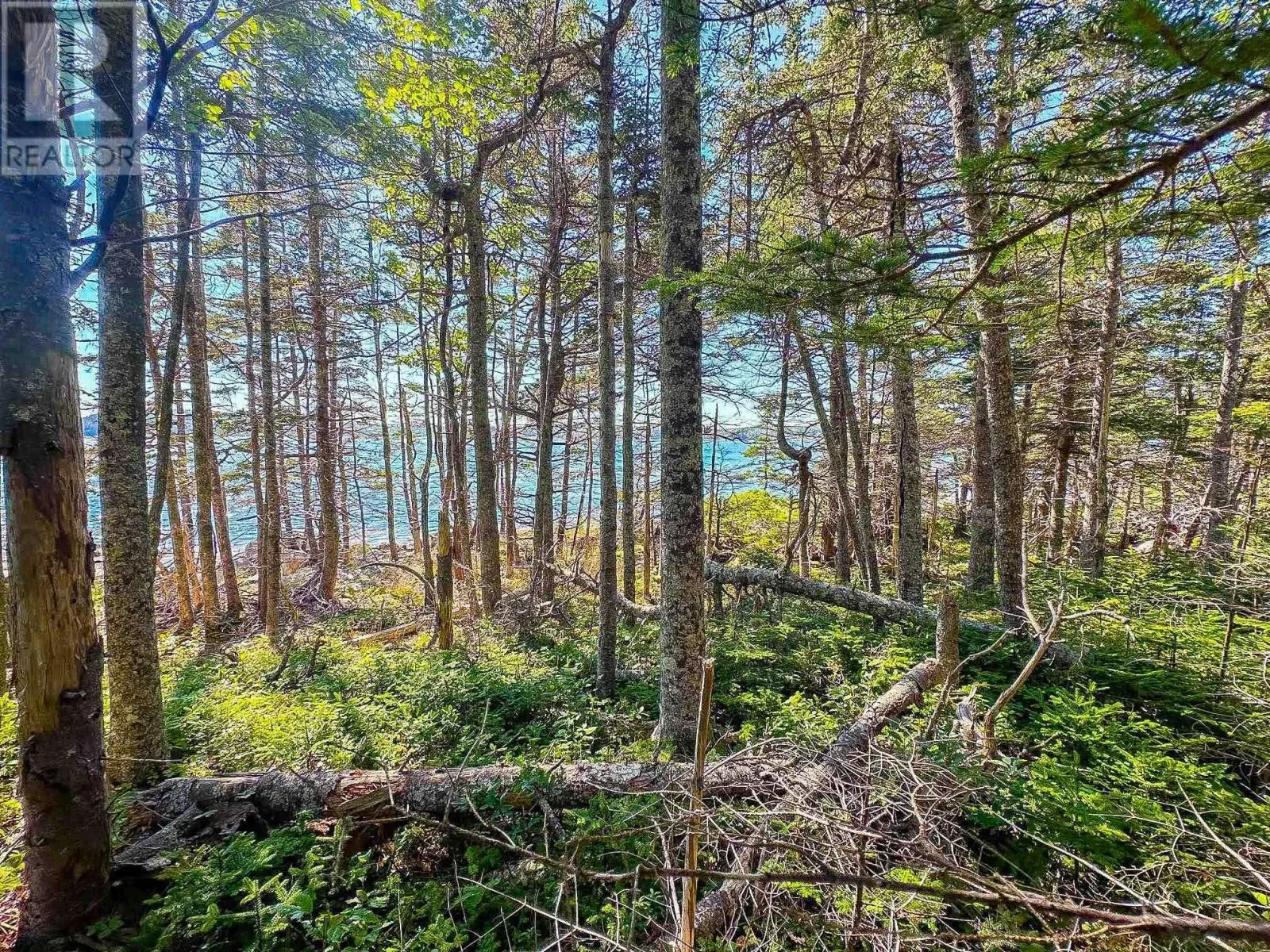 Lot 4 Stewarts Point Road