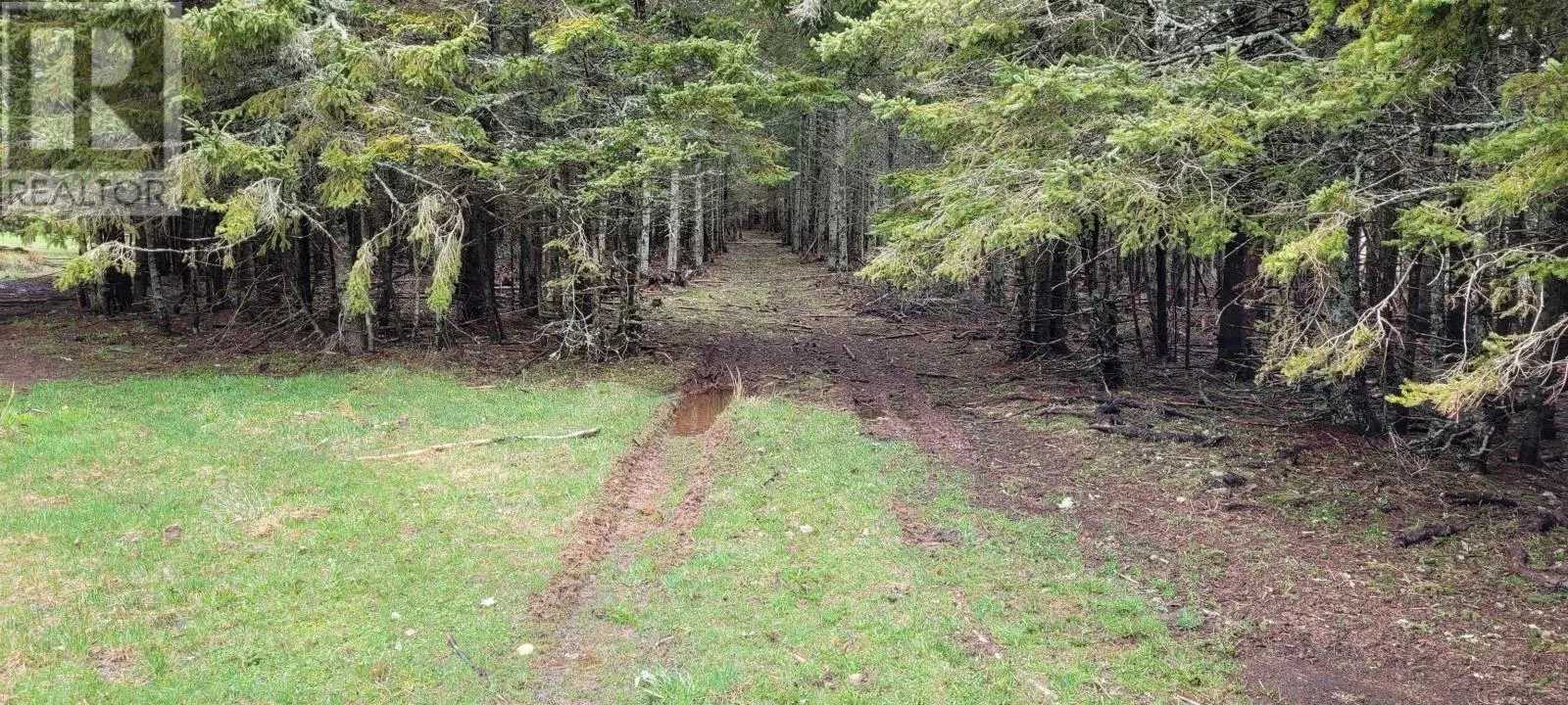 Acreage New Argyle Road