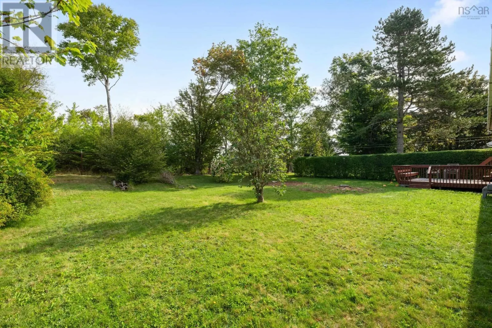 31 Raymoor Drive
