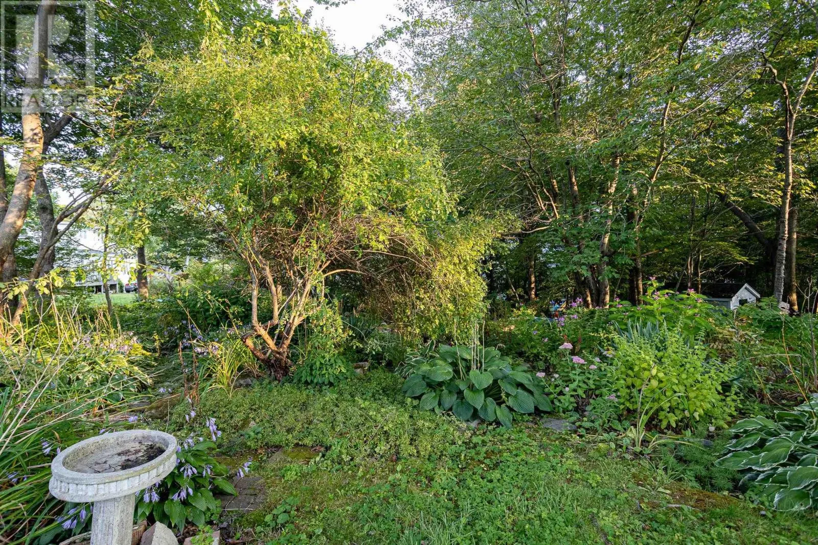 53 Milverton Road