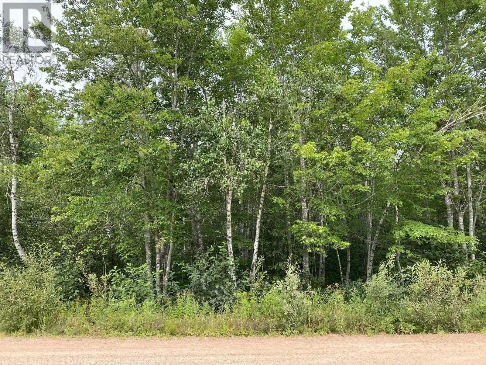 Lot PID#05173786 Hastings Road