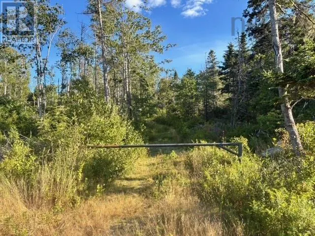 Lot 2 Highway 7