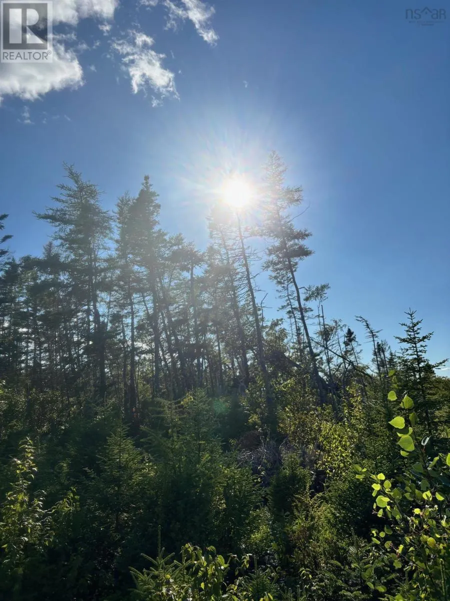 Lot 2 Highway 7