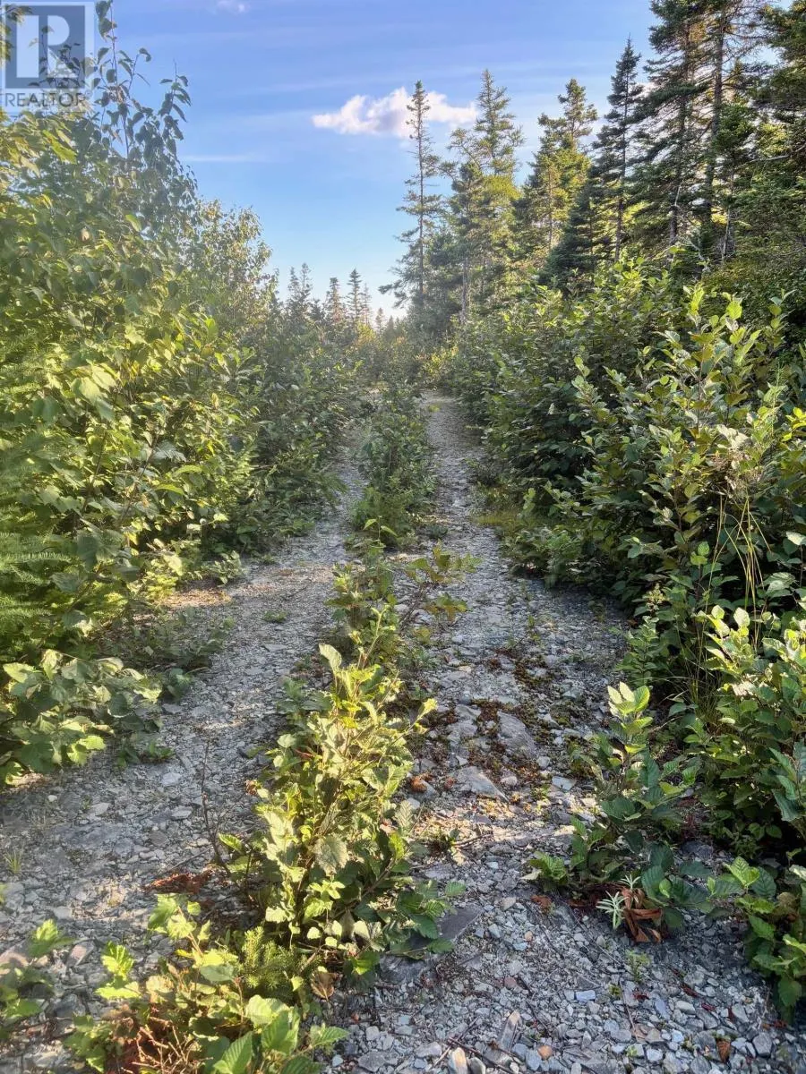 Lot 2 Highway 7