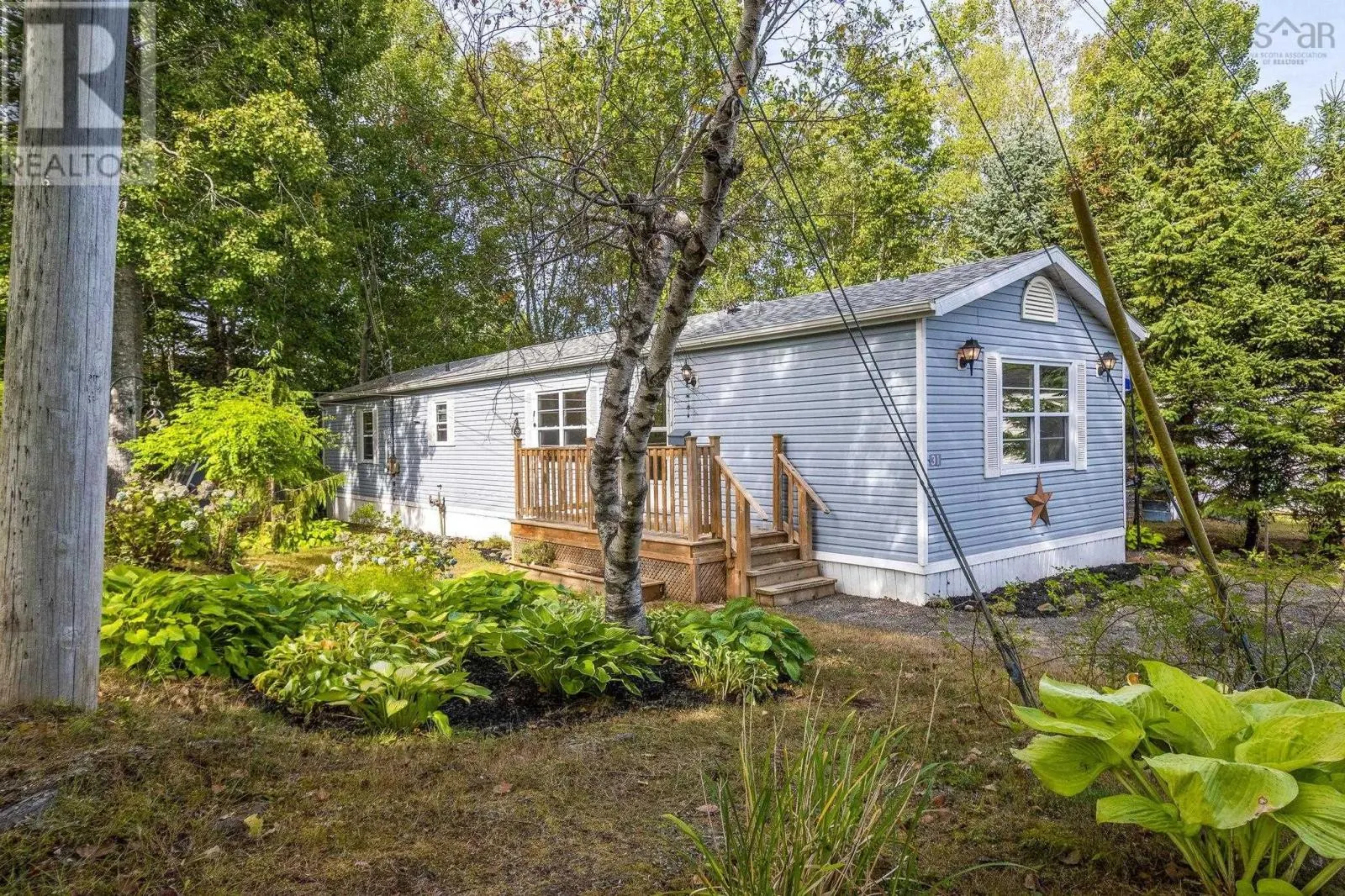 31 Pinecrest Drive