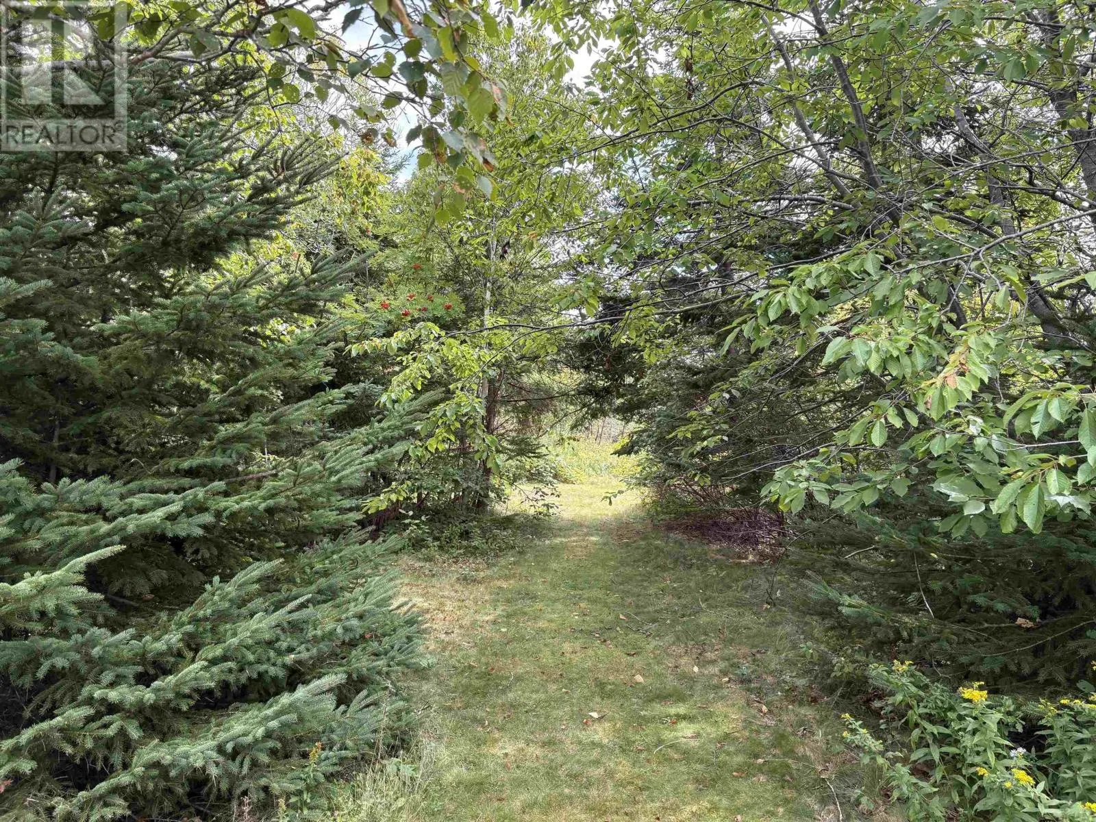 3535 HIGHWAY 255