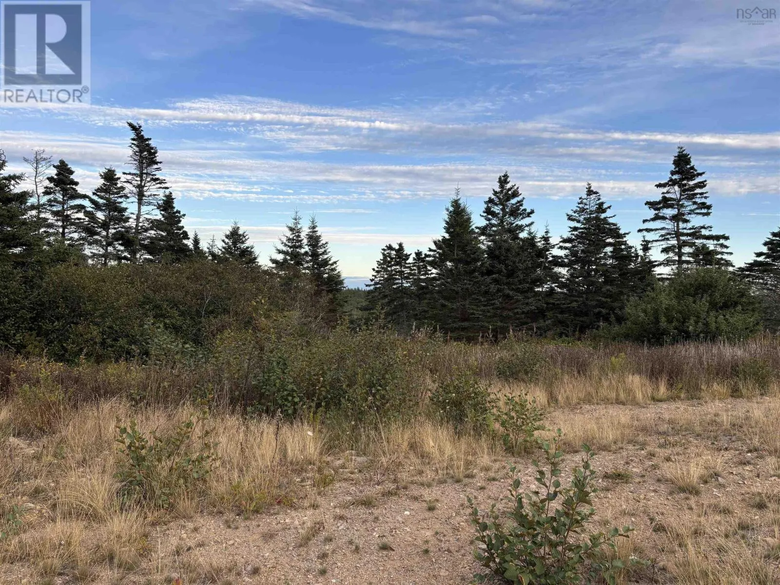966 Highway 217