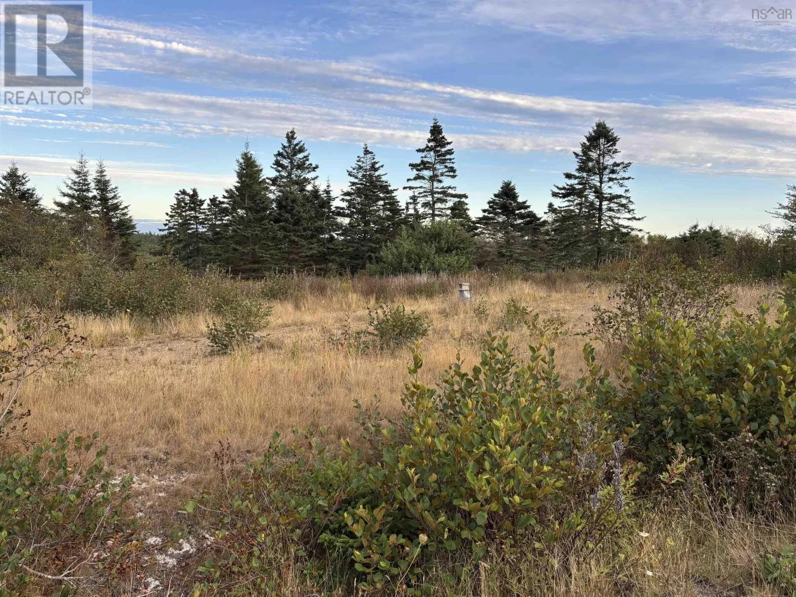 966 Highway 217