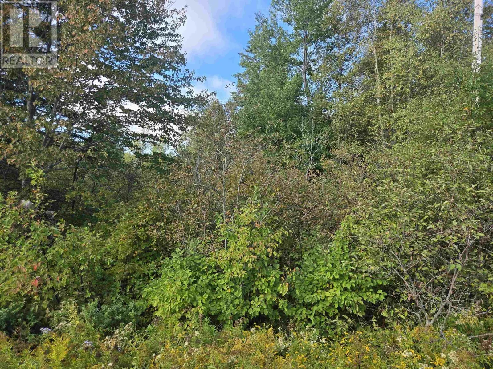 Lot 7 Highway 368