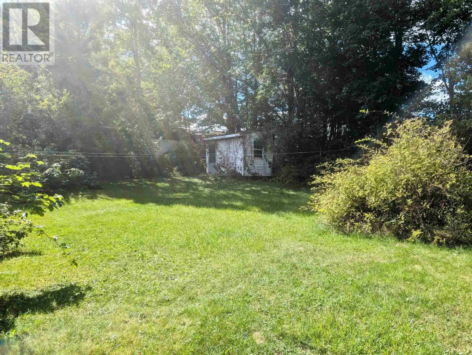 38 Dorothy Drive