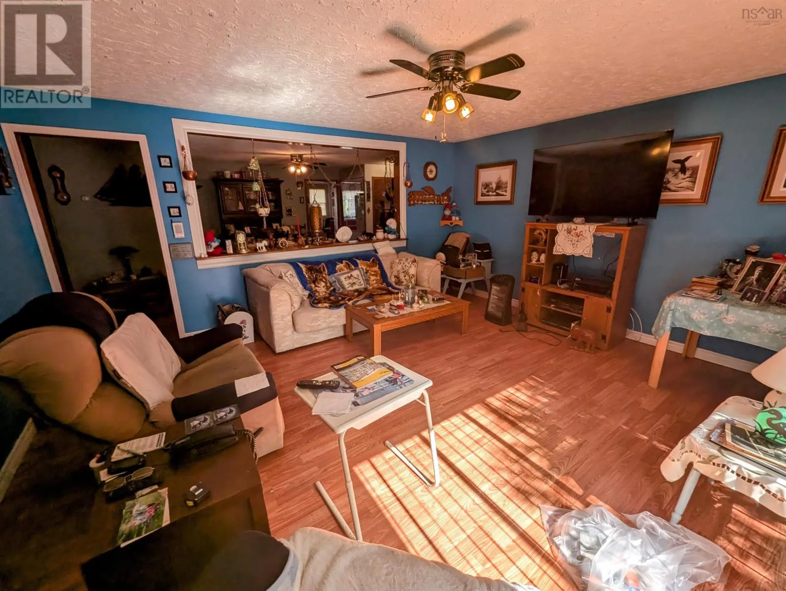 38 Dorothy Drive