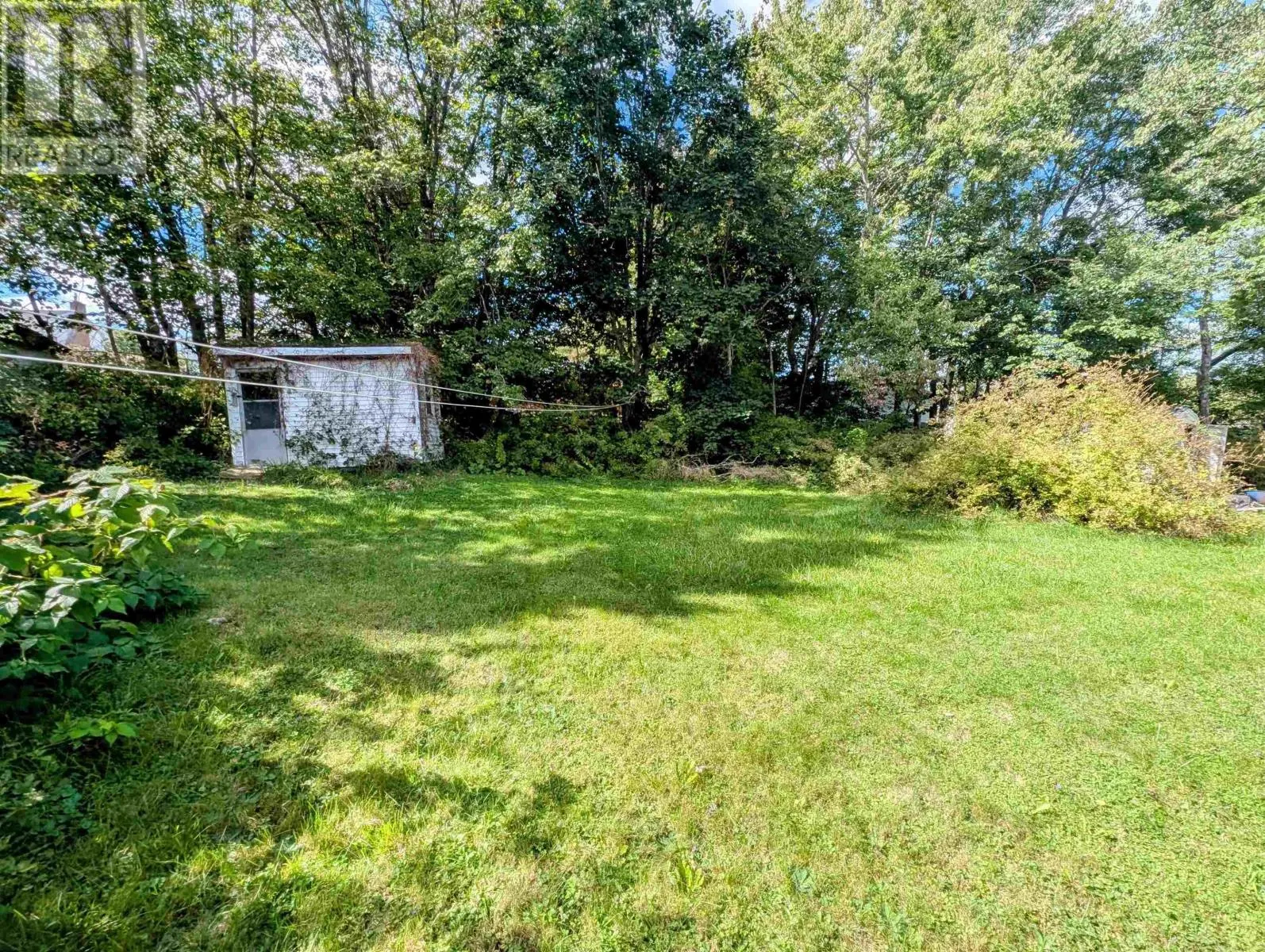 38 Dorothy Drive