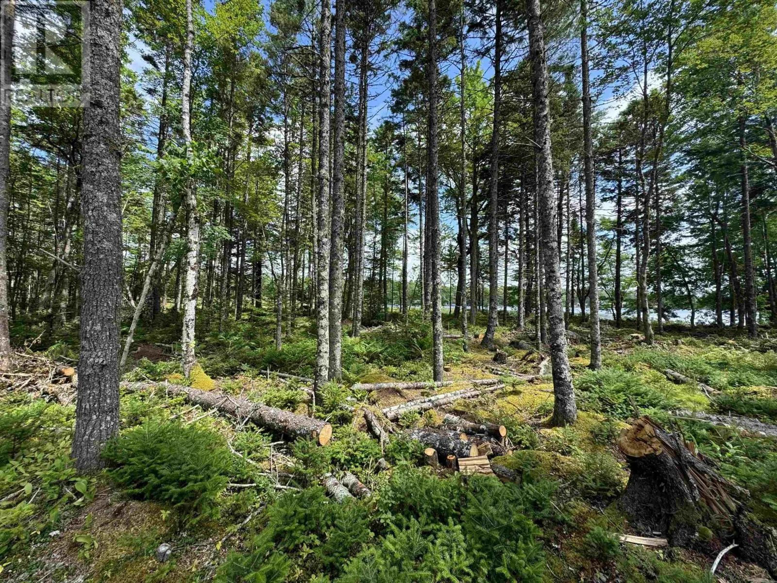 7 Lot Package East Lake Road