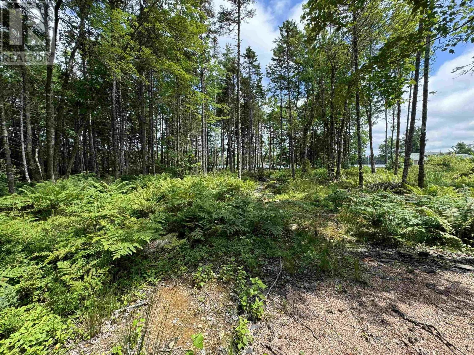 7 Lot Package East Lake Road