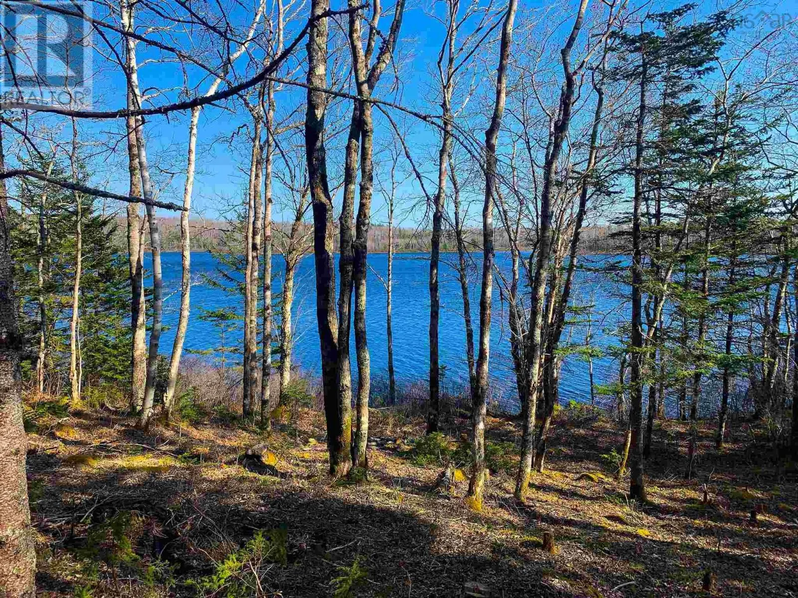 Lot Lake Edward