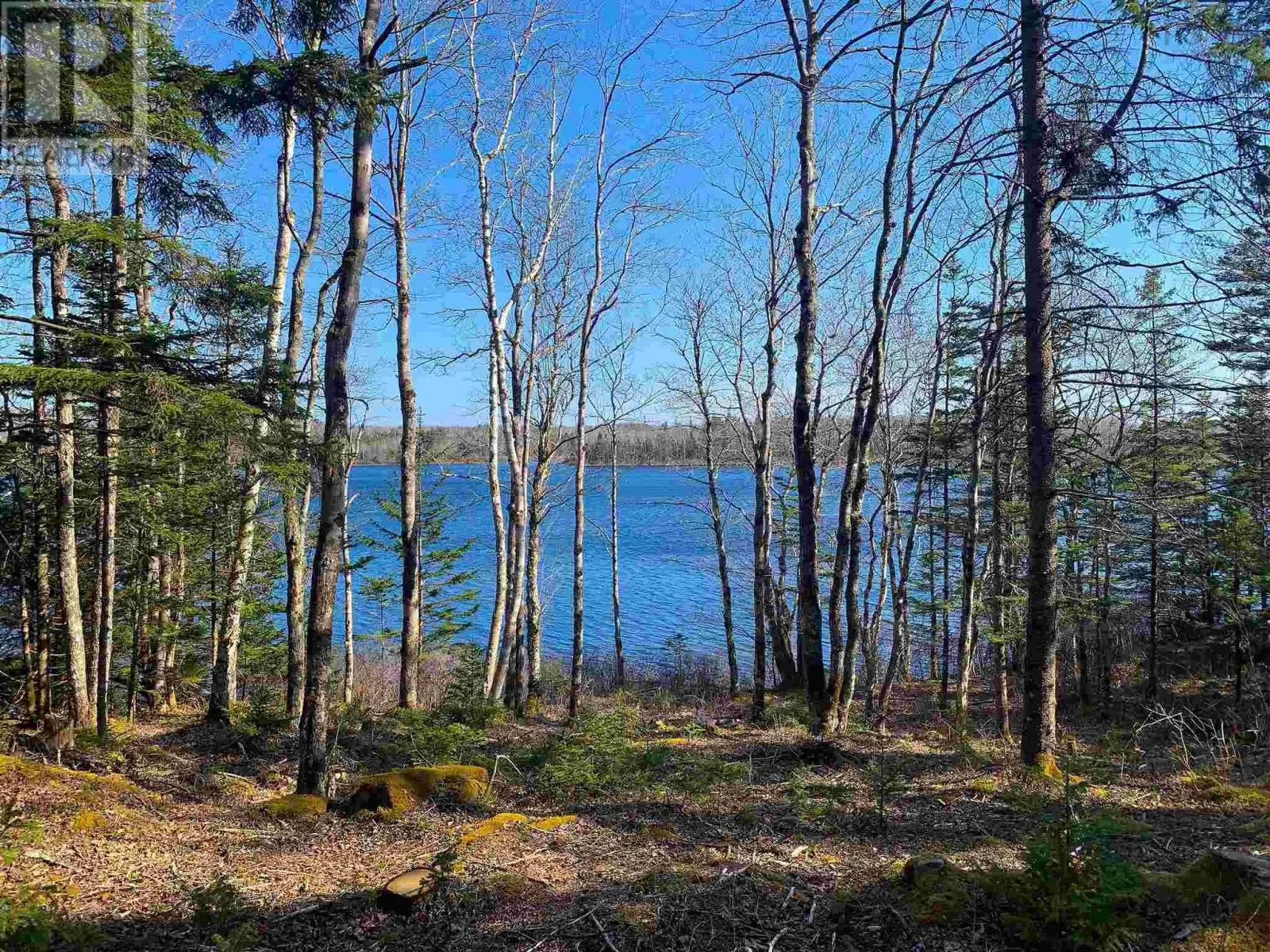 Lot Lake Edward