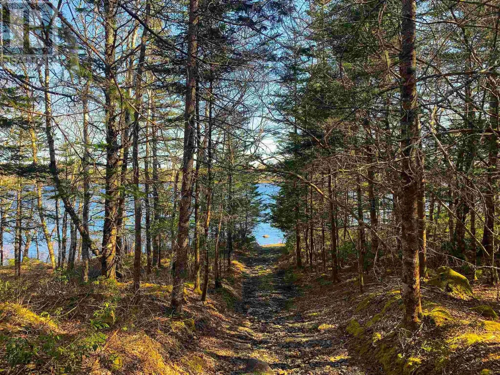 Lot Lake Edward