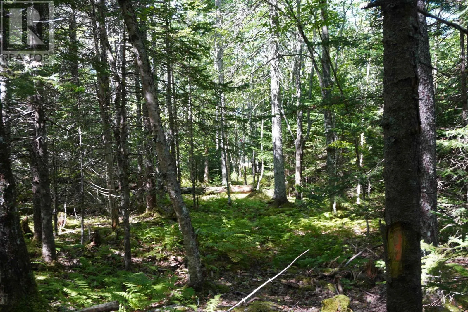 Lot 20 Golden Shore Lane