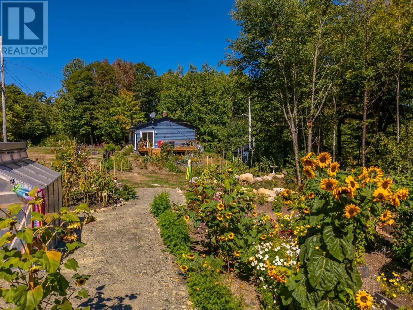 1136 Highway 8