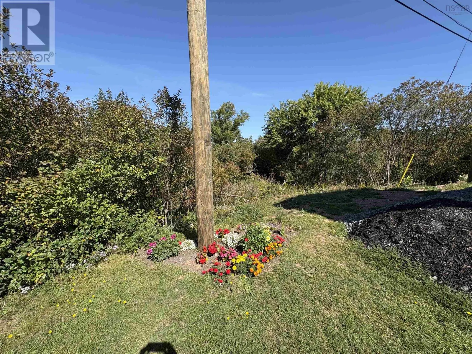37 Andys Avenue