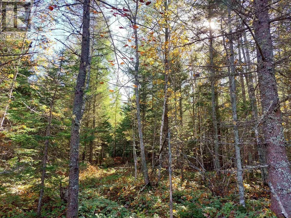Lot 40 Beaver Lane Lane