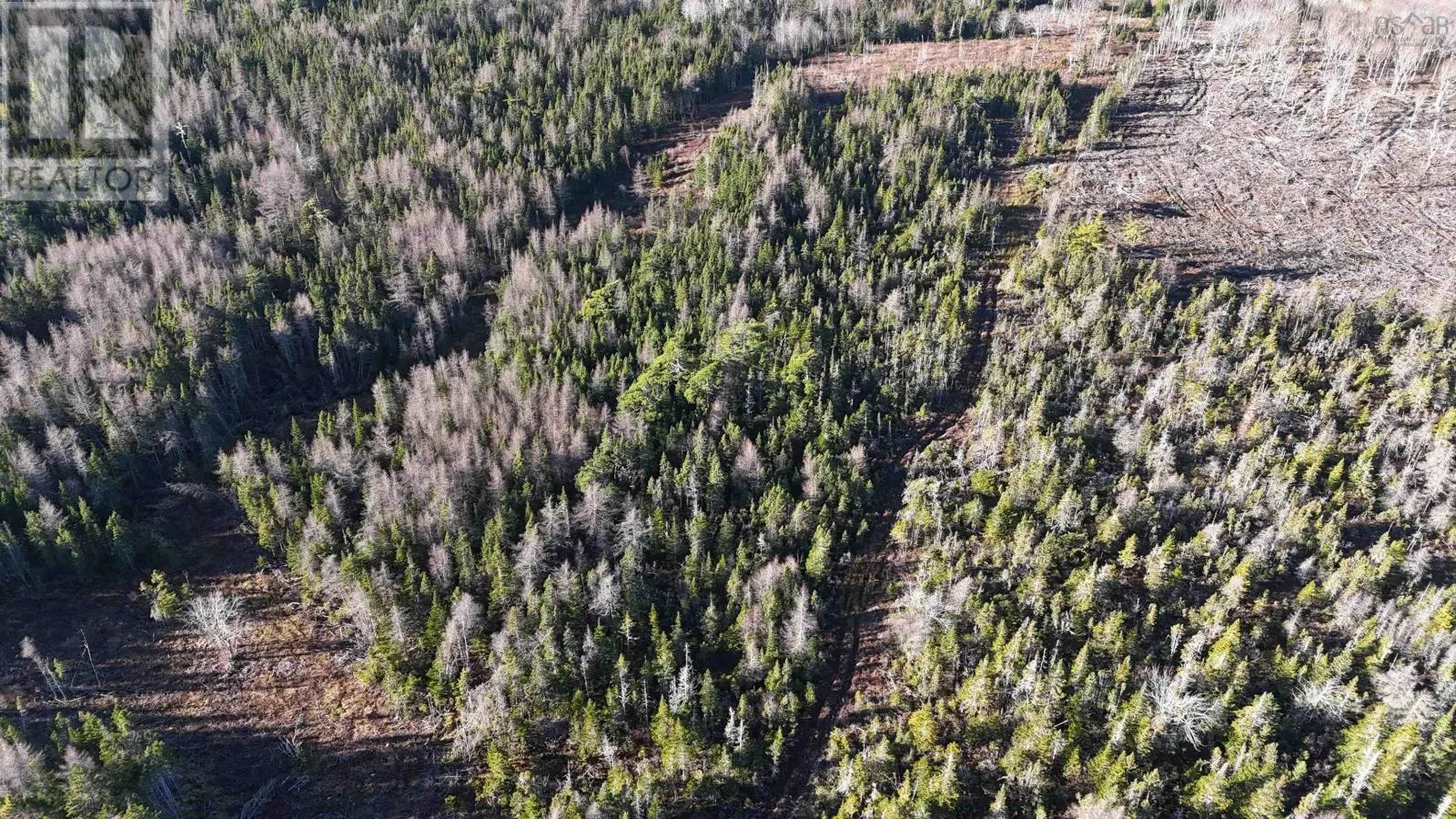 Salmon River Road