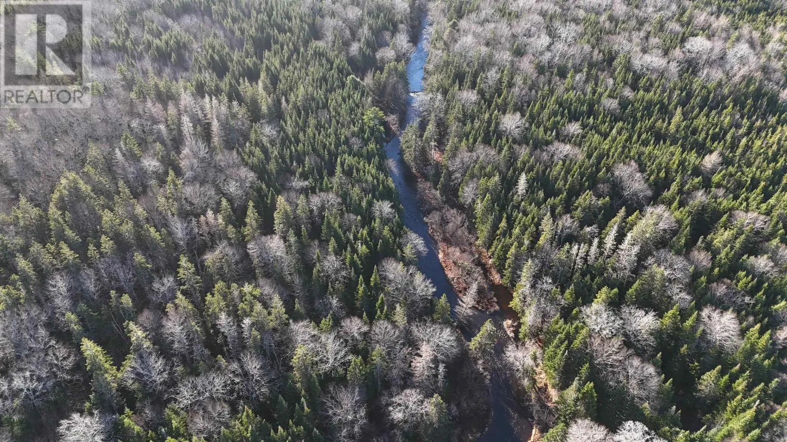 Salmon River Road