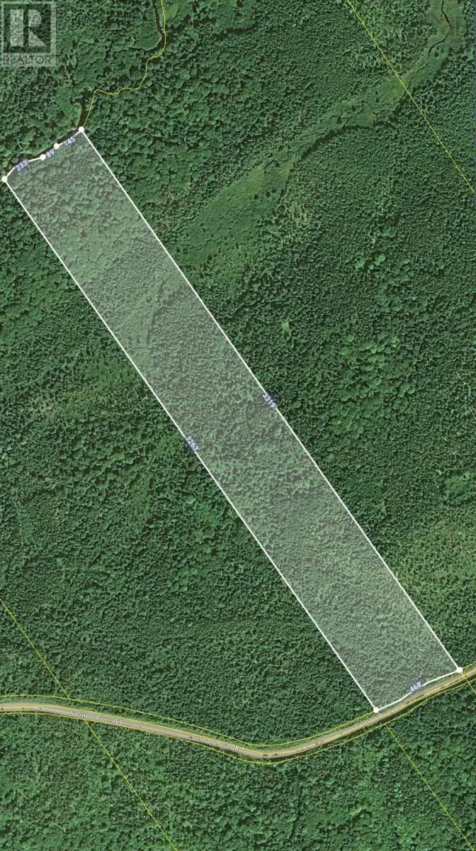 Salmon River Road