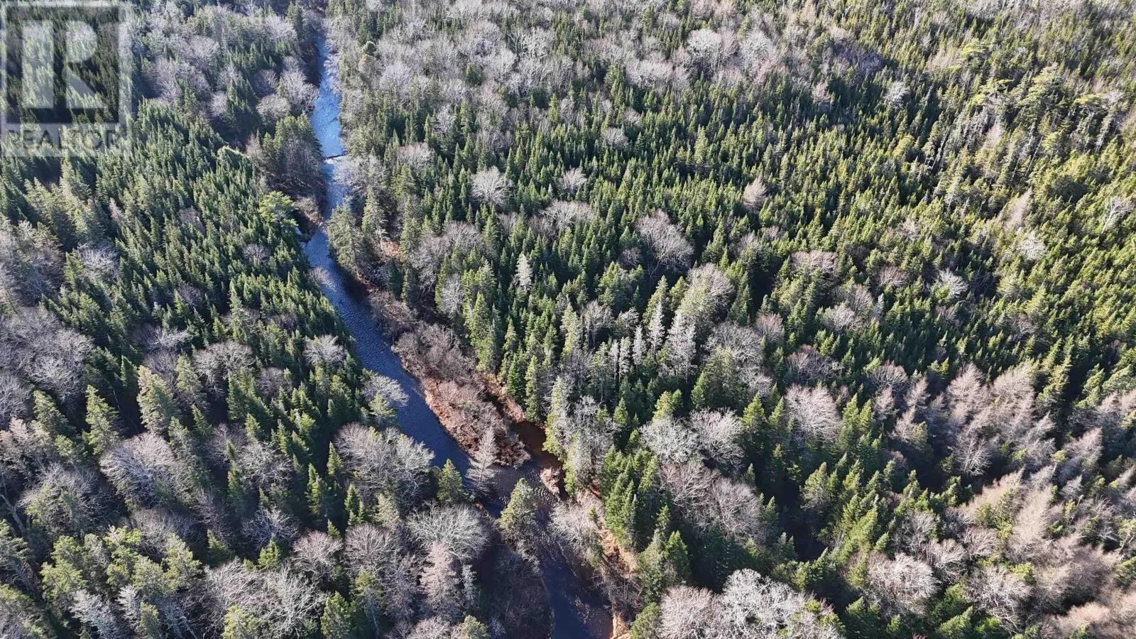 Salmon River Road