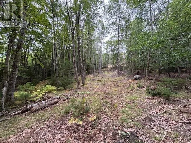 Lot 24-2 Italy Cross Road