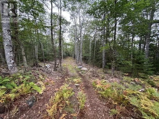 Lot 24-2 Italy Cross Road