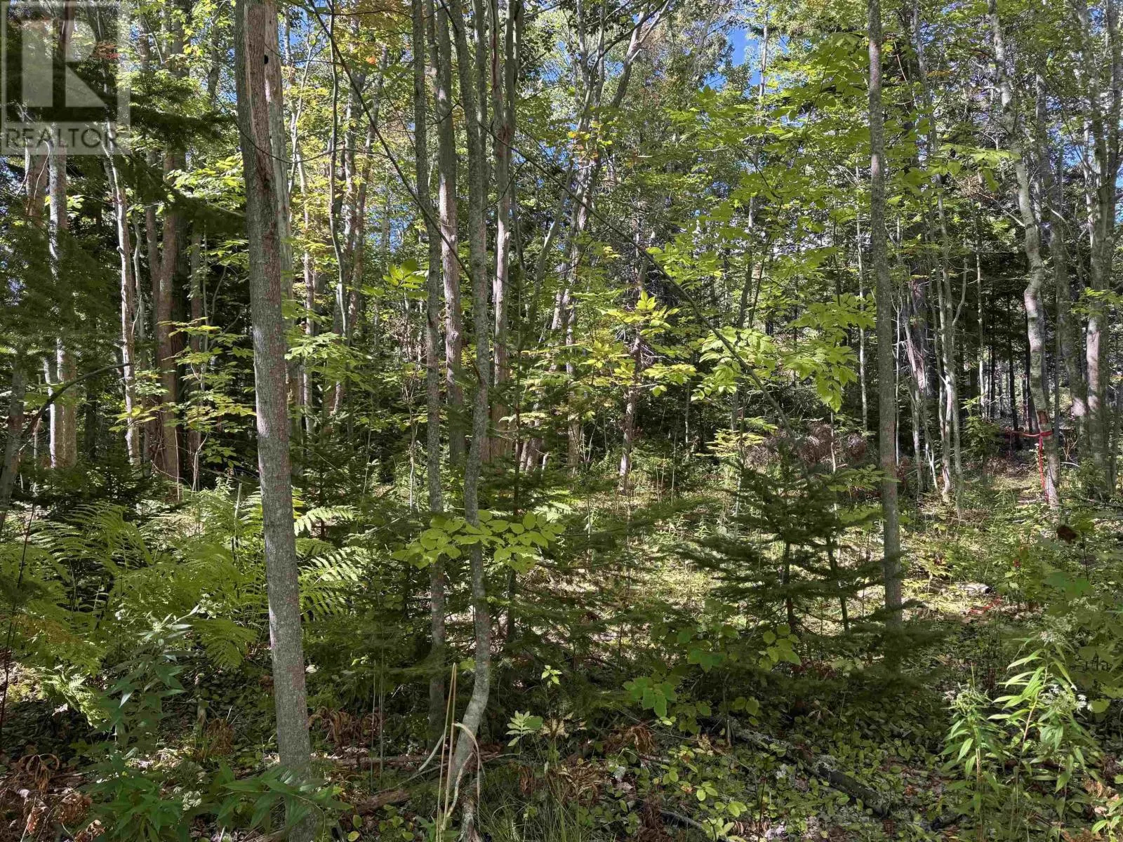 Lot 22-1 Little Harbour Road