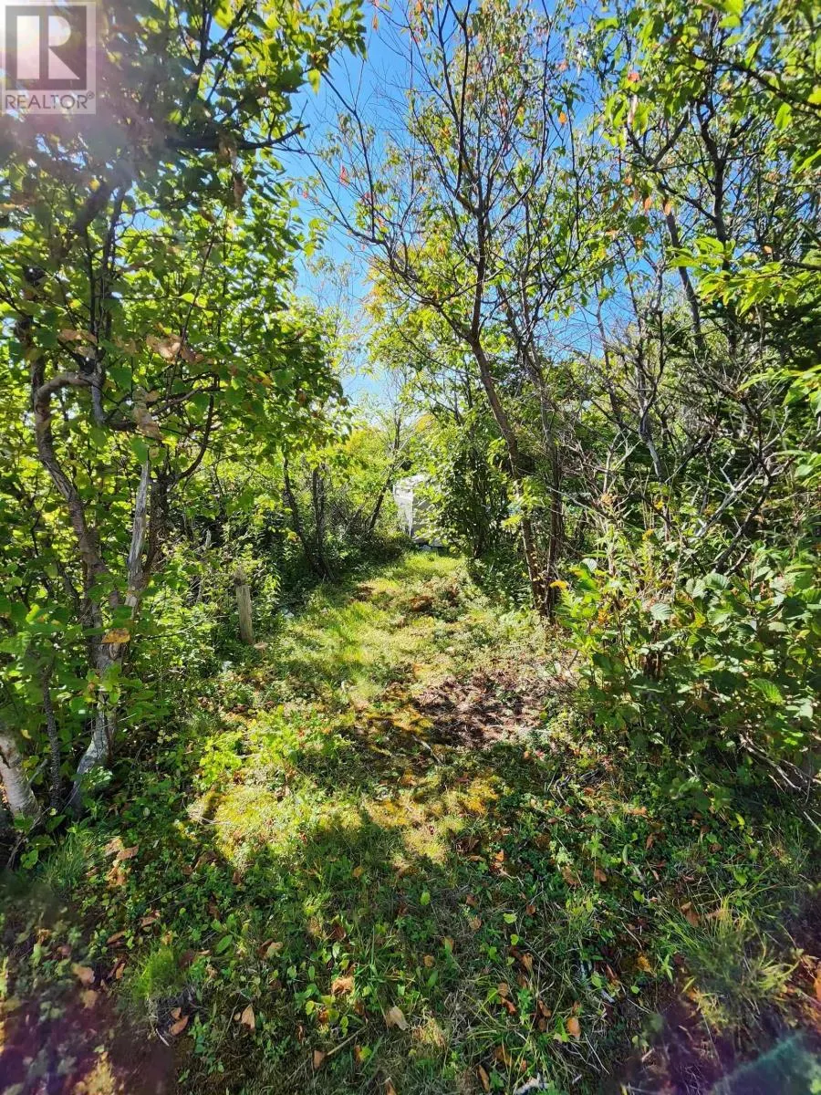 Dover Road